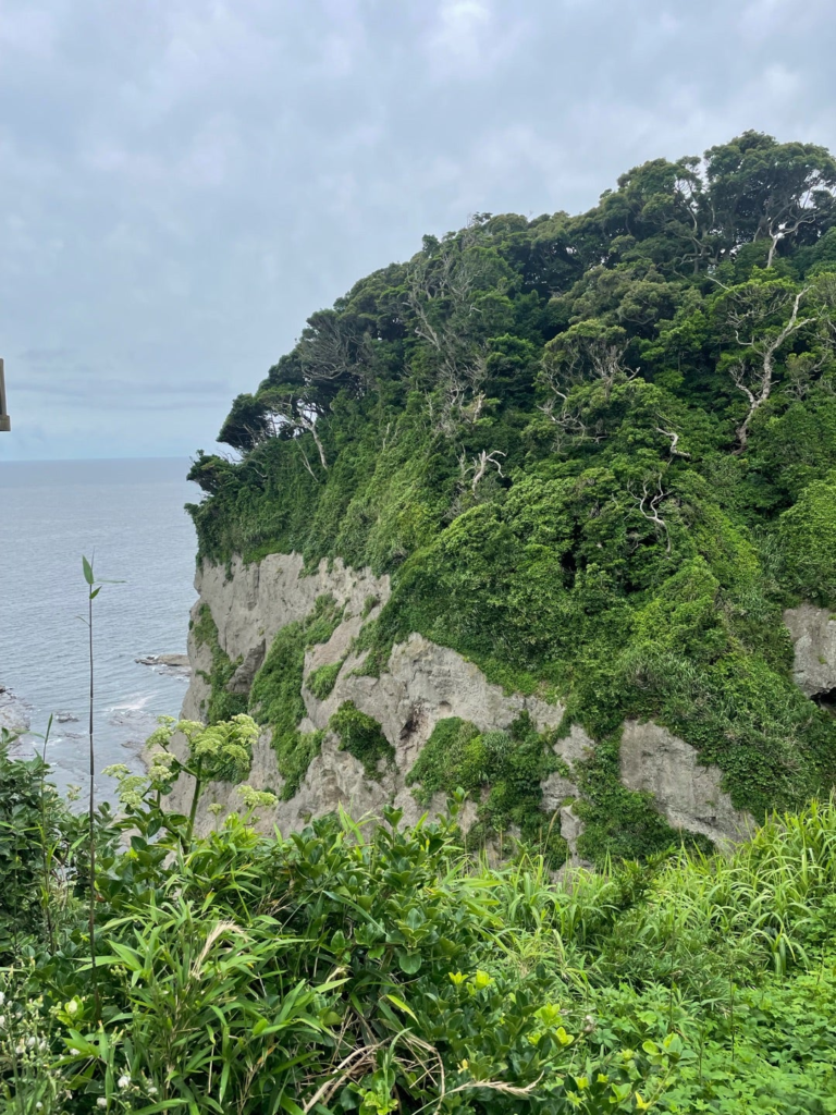 島の高台にある山二つという見晴らしスポット　断崖の岩肌に緑が茂っている
