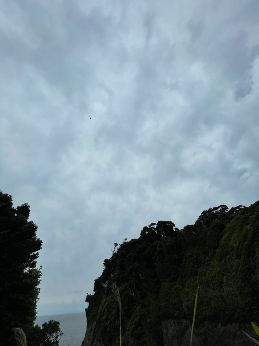 山二つの空に現われた複数の龍の顔