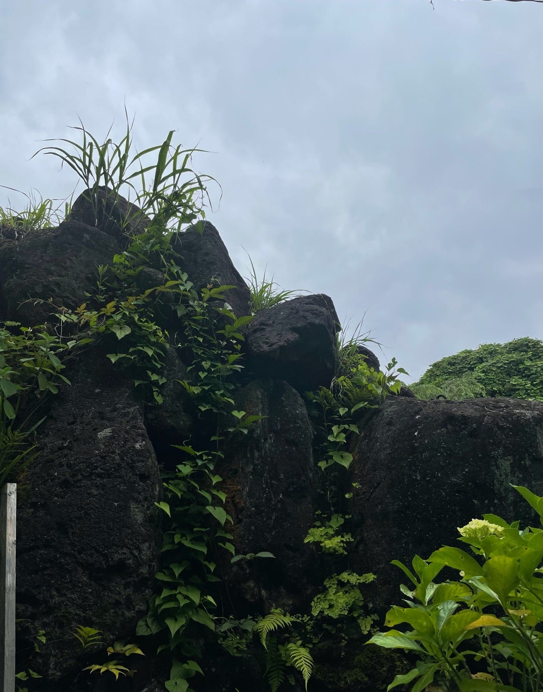 龍宮の真裏は龍神雄エネルギーが強い場所だ。