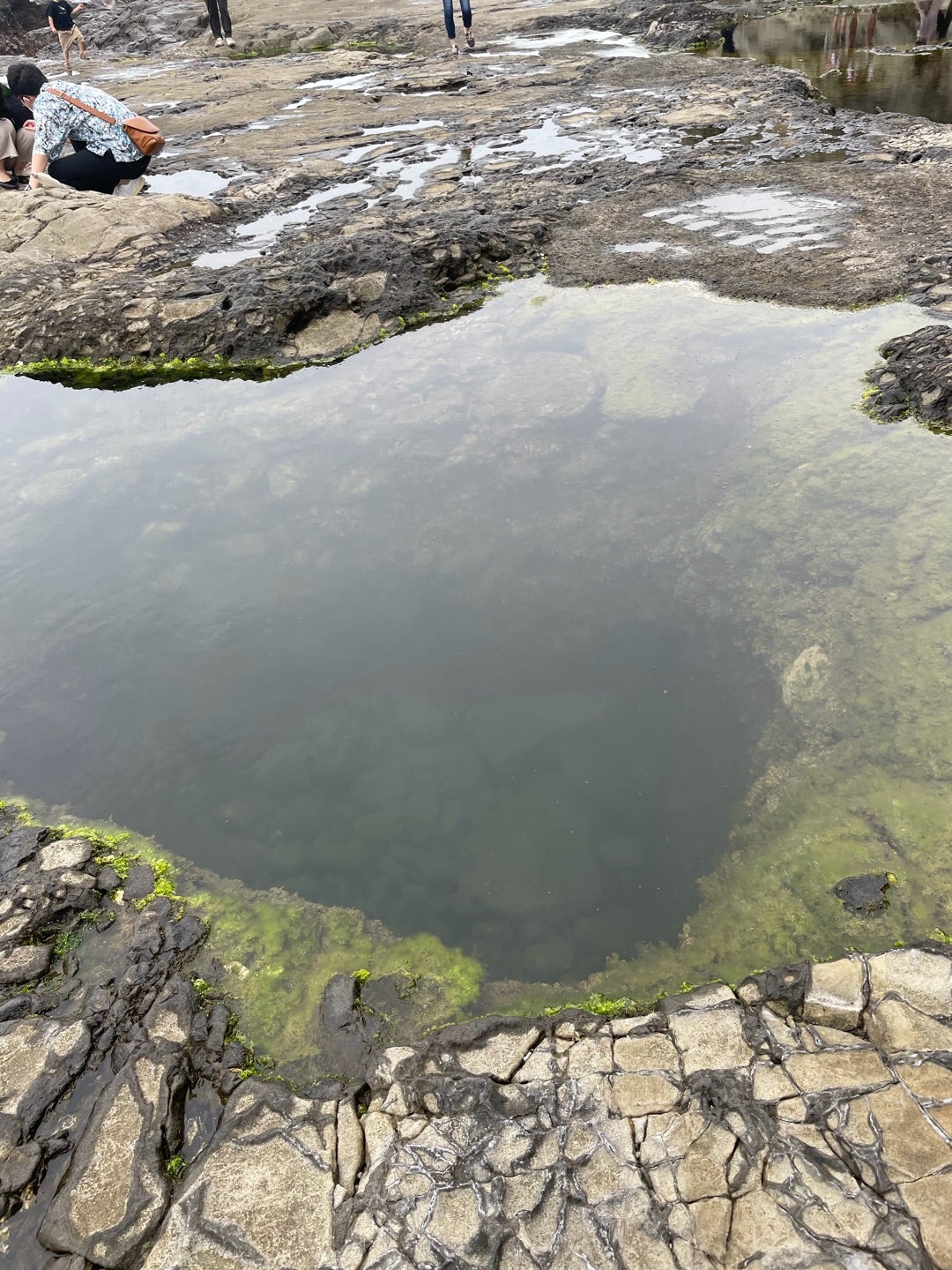 深い潮溜まり　空が映って美しい