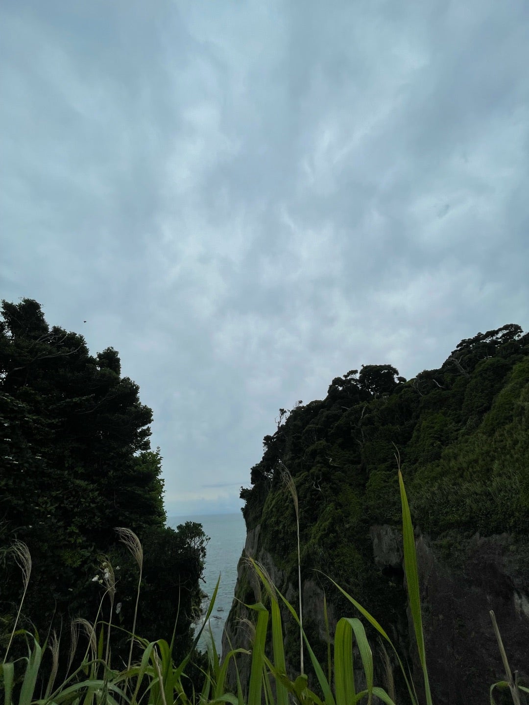 龍雲　沢山の顔が大きな顔にも見える