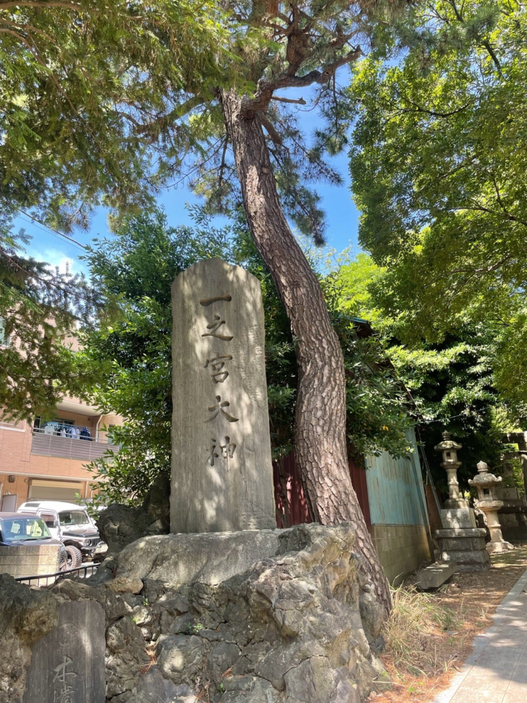 御神木の松の木が素晴らしく格好が良い。自慢したくなりました。