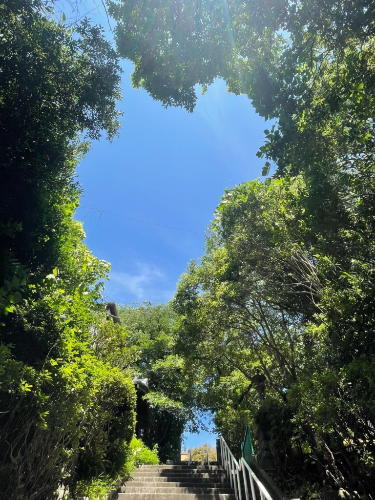 横浜一之宮神社敷地内に入り、順路が分からず急な階段を下りてみました。