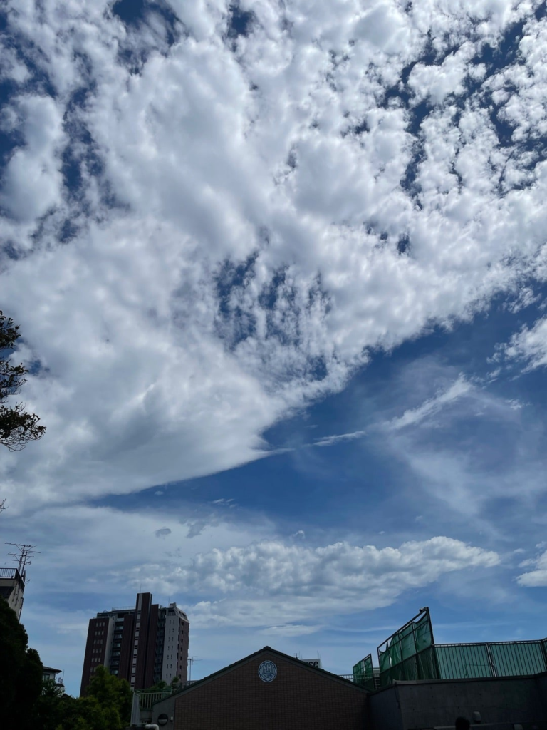 今日の空は青く雲が多い。お母さんに駆けよる幼子の姿に見える雲。境内には幼稚園がありました。