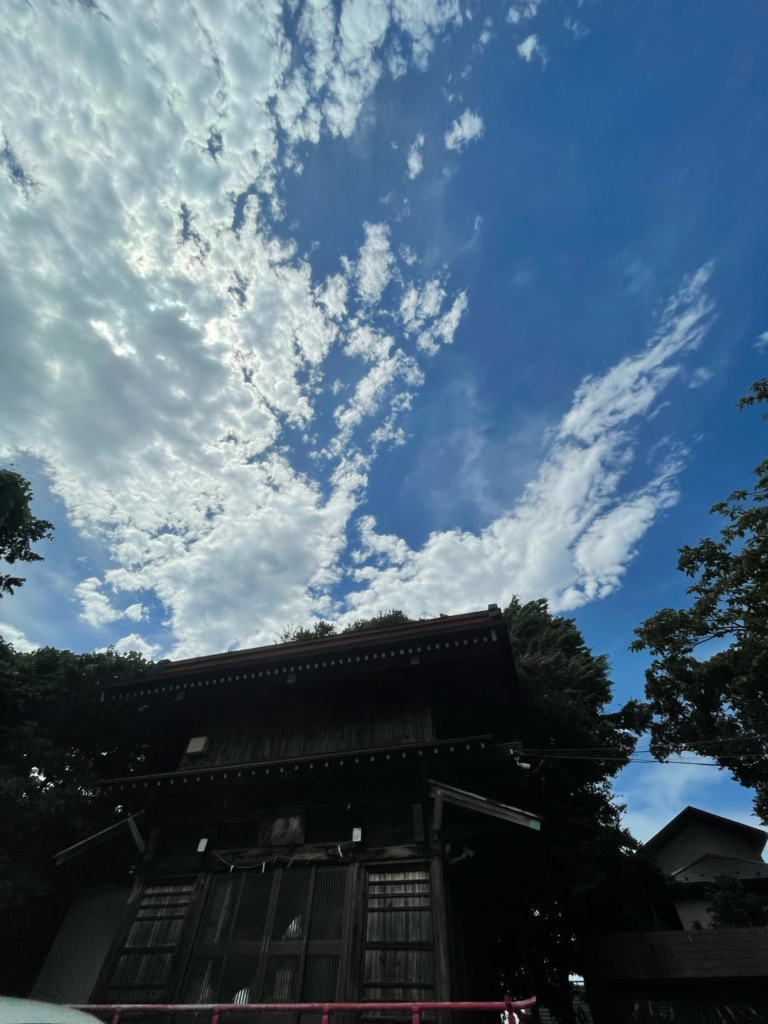 龍神様、鳳凰様の写真を撮りたくて天使に頼むと、孔雀の様な冠羽のある鳥が写りました