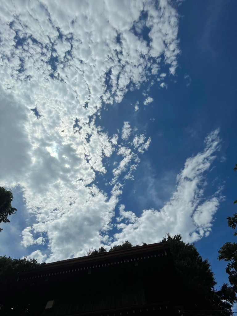 鳳凰様が、やあっと手を挙げているように見えます