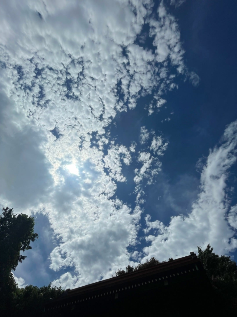 お顔の向きが少し変わりました。やはり龍神の顔に見える。