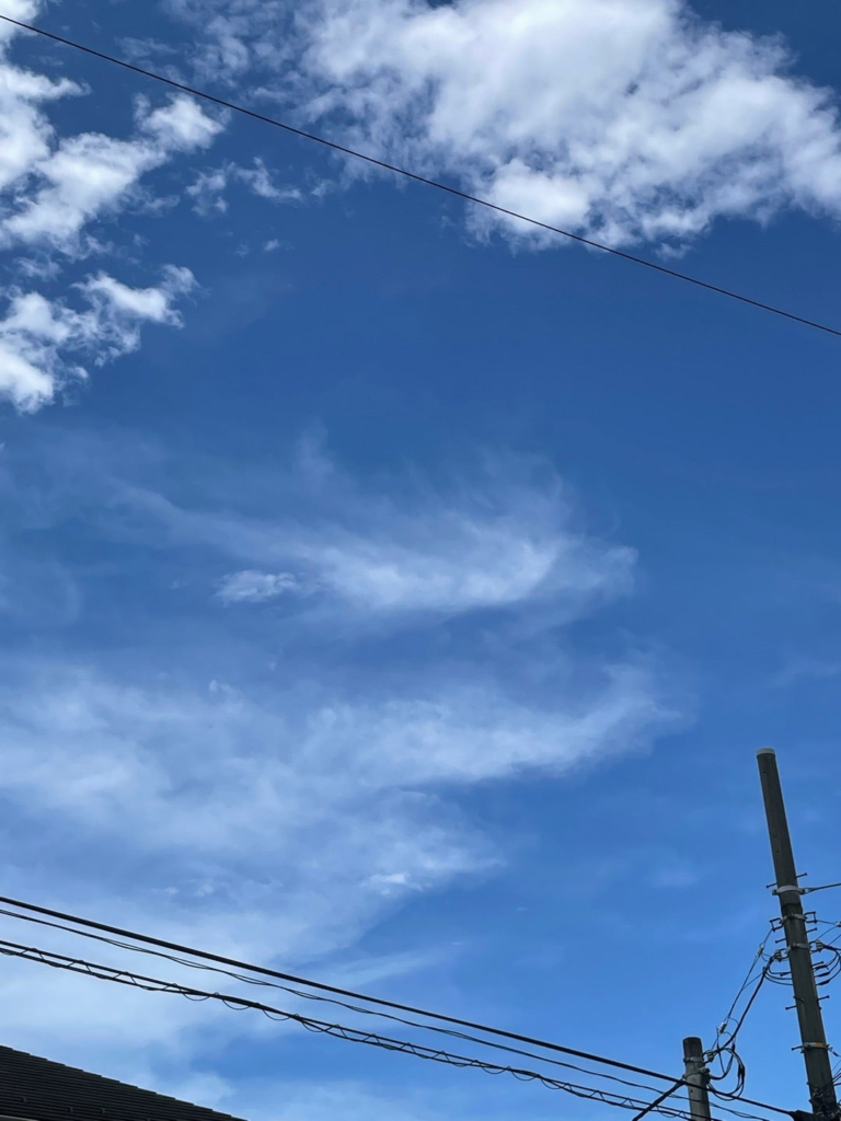 神社から出た時の空はいつも見る薄い雲がありました。神社の上空とは異なるのかと考えました。