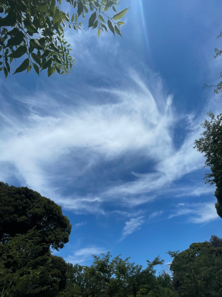 前の写真の次に撮影したお顔は、少しこちらに向きを変えてくださったように見える。